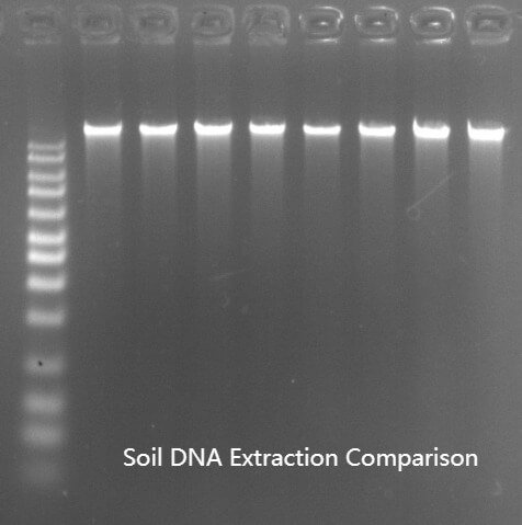 BT0250, High-Strength Nucleic Acid Bead Tubes