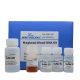 DNK2361-Magbead Blood DNA Kit