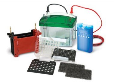 ME186, Transfer electrophoresis tanks