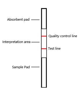 PCRD001, 50T-PCRD lateral flow strips(Single target) structure