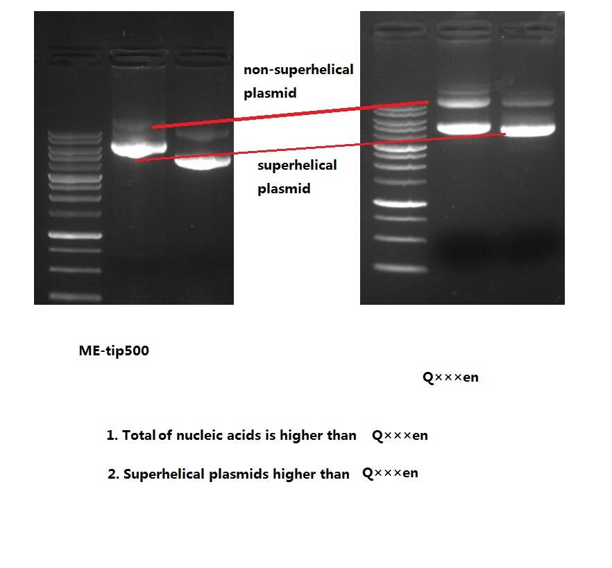 PLC500, ME-tip500 efficiently purify plasmid DNA