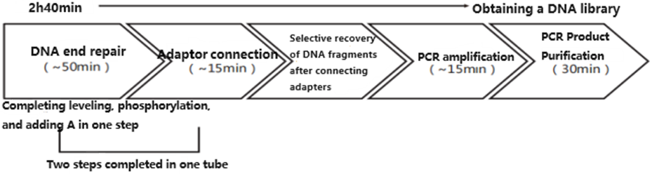 PCK85, Fast NGS Library Kit for Illumina
